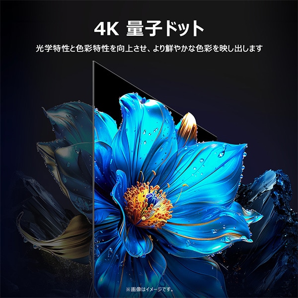 情熱価格&times;TCL QLED 65型4Kスマート液晶テレビ